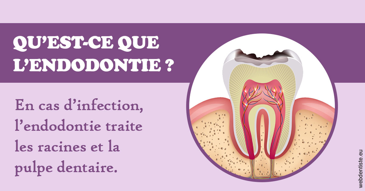 https://www.docteur-mandalova.fr/2024 T1 - Endodontie 02