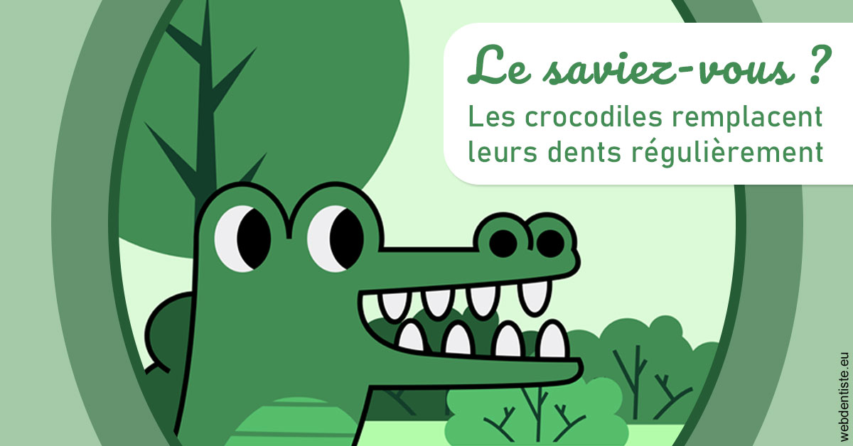 https://www.docteur-mandalova.fr/Crocodiles 2