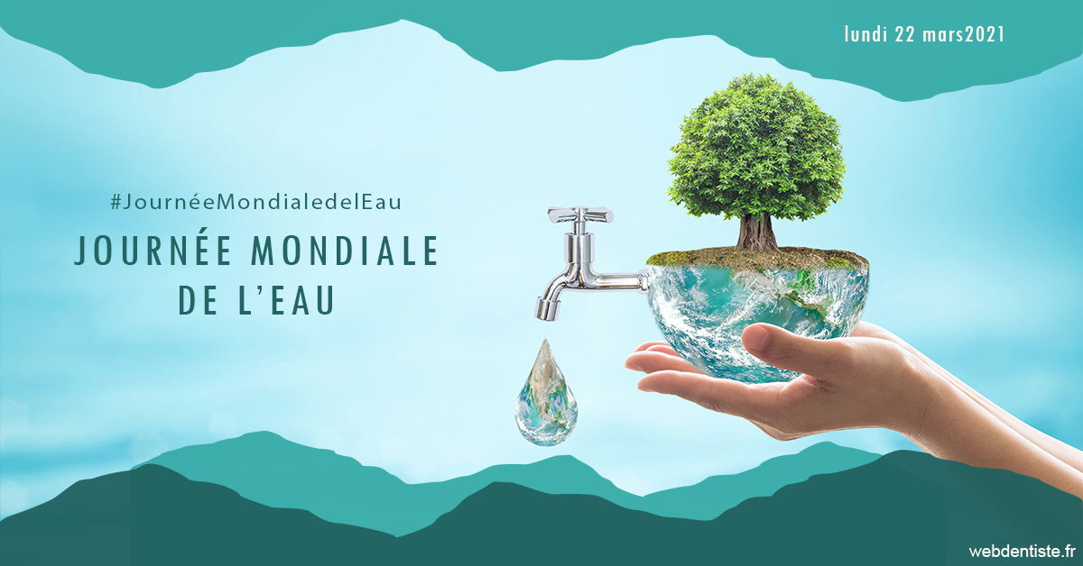 https://www.docteur-mandalova.fr/Journée de l'eau 1