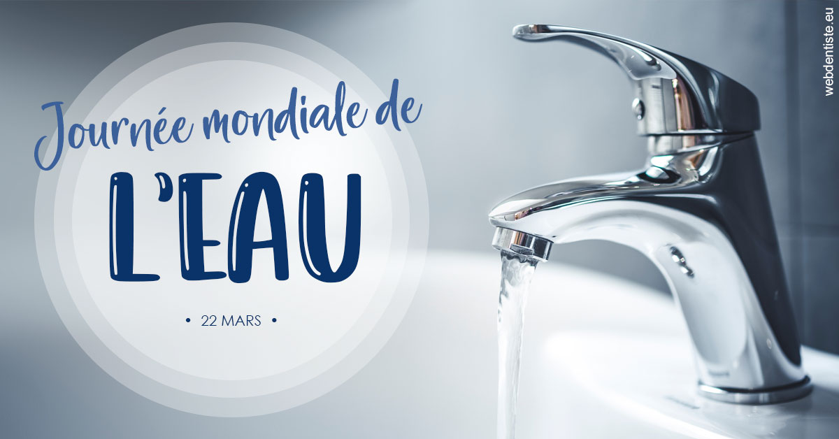 https://www.docteur-mandalova.fr/La journée de l'eau 2