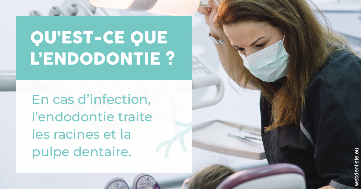 https://www.docteur-mandalova.fr/2024 T1 - Endodontie 01