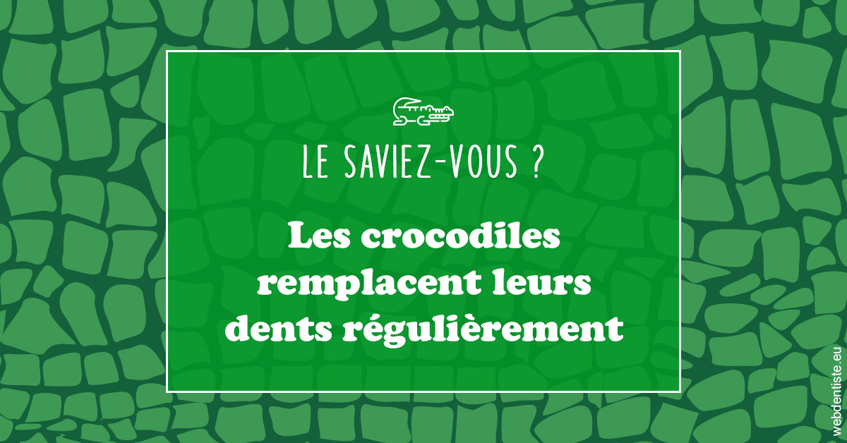 https://www.docteur-mandalova.fr/Crocodiles 1